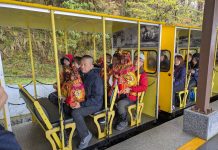 冷吱吱!太平山及燈篙林道仍吸引不少遊客踏青 冷吱吱!太平山及燈篙林道仍吸引不少遊客踏青