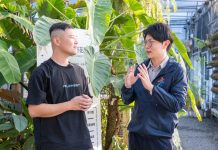 植感潮流引領綠意生活 高雄青創「阿金的便秘花園」 打造跨國綠植版圖 植感潮流引領綠意生活 高雄青創「阿金的便秘花園」 打造跨國綠植版圖