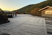 太平山氣溫4度山莊木棧台結霜 遊客雪白世界喜迎日出 太平山氣溫4度山莊木棧台結霜 遊客雪白世界喜迎日出