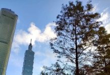 五彩燈飾高高掛 北市信義商圈林蔭濃濃節慶感 五彩燈飾高高掛 北市信義商圈林蔭濃濃節慶感