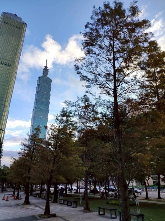 五彩燈飾高高掛 北市信義商圈林蔭濃濃節慶感 五彩燈飾高高掛 北市信義商圈林蔭濃濃節慶感