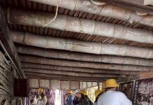 114年雲林食農教育推動會第2次會議 走讀古坑麻園社區 114年雲林食農教育推動會第2次會議 走讀古坑麻園社區