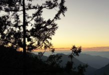 迎2026年的第一份禮物 太平山遊樂區元旦贈紀念書籤 迎2026年的第一份禮物 太平山遊樂區元旦贈紀念書籤