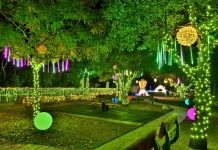 山城冬季賞燈首選! 2025石岡花漾藝術燈節12/24點燈 民政局長:打造夢幻光影小鎮 山城冬季賞燈首選! 2025石岡花漾藝術燈節12/24點燈 民政局長:打造夢幻光影小鎮