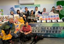 新北用 AI 科技幫毛寶貝找家 用影像讓毛寶貝被看見 動團高度肯定 新北用-ai-科技幫毛寶貝找家 用影像讓毛寶貝被看見 動團高度肯定