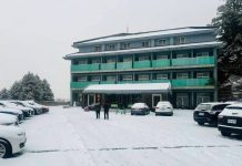 遊客驚呼「宛如歐洲」!合歡山松雪樓一夜積雪9公分 遊客驚呼「宛如歐洲」!合歡山松雪樓一夜積雪9公分