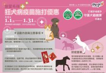 馬來好運 新春狂熱! 雲林縣115年新春狂犬病疫苗施打 優惠活動來了 馬來好運 新春狂熱! -雲林縣115年新春狂犬病疫苗施打 優惠活動來了