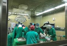 器官捐贈化哀傷為希望 嘉基:超過40名病患將受惠 器官捐贈化哀傷為希望 嘉基:超過40名病患將受惠