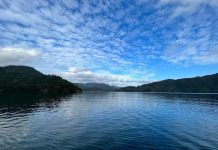 蔣萬安市長表揚自然農法茶農 守護翡翠水庫 圖/台北市政府