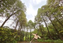 探訪冬日山林 漫步南港落羽松秘境 圖/台北市政府