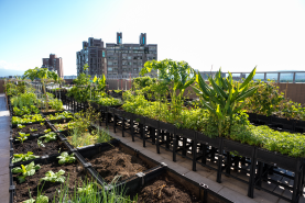 a5a6627e-19cf-4cc2-b75f-3a27f1f6027b 圖/台北市政府提供