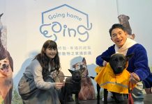 新北用 AI 科技幫毛寶貝找家 用影像讓毛寶貝被看見 圖/新北市政府