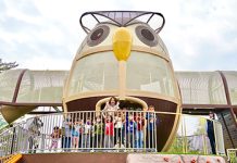 落實兒童表意權 新埤貓頭鷹共融公園正式啟用 圖/屏東縣政府