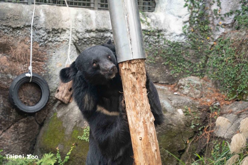 圖/台北市政府提供