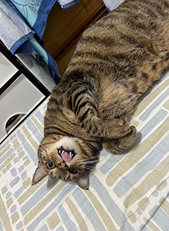 61982525-333e-4b19-bf0a-37eb4d935311 圖/台北市政府