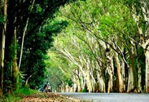 屏縣升級自行車廊道! 串起文化、生態與城市風景 圖/屏東縣政府