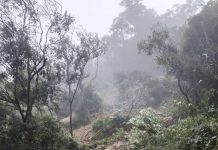 中橫宜蘭支線坍方交管搶修 1/5起分時放行、夜間封路至1/16 中橫宜蘭支線坍方交管搶修 1/5起分時放行、夜間封路至1/16