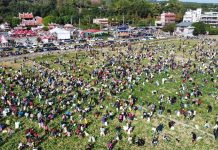 「2026芬響農食典白寶玉出土記」熱鬧登場 千人齊聚芬園體驗拔蘿蔔 「2026芬響農食典白寶玉出土記」熱鬧登場 千人齊聚芬園體驗拔蘿蔔