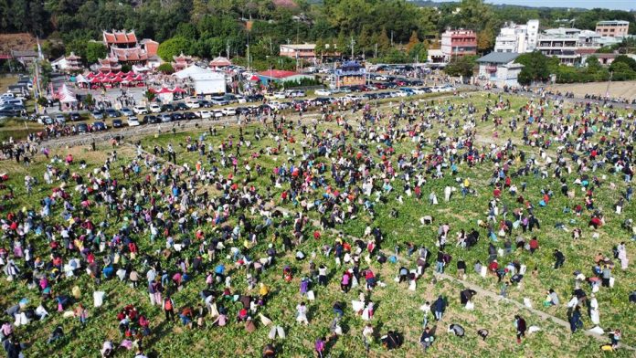 「2026芬響農食典白寶玉出土記」熱鬧登場 千人齊聚芬園體驗拔蘿蔔 「2026芬響農食典白寶玉出土記」熱鬧登場 千人齊聚芬園體驗拔蘿蔔