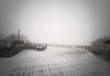 冷氣團發威太平山零下2度 霧淞銀白世界遊客嗨翻 冷氣團發威太平山零下2度 霧淞銀白世界遊客嗨翻