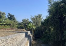 強化防洪兼顧生態 嘉市北排水圳頭里段護岸改善工程順利完工 強化防洪兼顧生態 嘉市北排水圳頭里段護岸改善工程順利完工