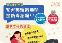 北市提高犬貓絕育與保險補助 最高可領5,000元 北市提高犬貓絕育與保險補助 最高可領5,000元