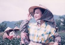 〈阿母哪會攏無睏〉歌詞藏洋蔥!白冰冰淚揭母愛真相:「我寫的是幻想中的好媽媽」 〈阿母哪會攏無睏〉歌詞藏洋蔥!白冰冰淚揭母愛真相:「我寫的是幻想中的好媽媽」