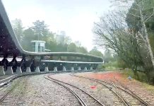 初雪灑落阿里山 罕見月光雲海美景浪漫登場 入住指定房型享8折優惠 初雪灑落阿里山 罕見月光雲海美景浪漫登場 入住指定房型享8折優惠