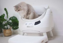 CATLINK Open-X 翻滾喵 「精準預防」智慧照護愛貓超有感 catlink -open-x-翻滾喵 -「精準預防」智慧照護愛貓超有感