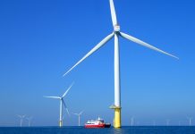 離岸風場成海洋綠洲 海大研究證實臺灣風機魚礁具備生態保育效益 離岸風場成海洋綠洲 海大研究證實臺灣風機魚礁具備生態保育效益