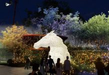 中台灣燈會超人氣策展團隊回歸! 建設局「驚蟄界」2月15日震撼登場 中台灣燈會超人氣策展團隊回歸! -建設局「驚蟄界」2月15日震撼登場