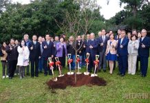 陳洋淵捐贈140棵富士櫻 期淡江校花綻風華 陳洋淵捐贈140棵富士櫻 期淡江校花綻風華