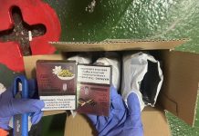 汪汪隊立大功 海巡偵搜犬「Huston」嗅出郵包電子煙彈 汪汪隊立大功 海巡偵搜犬「huston」嗅出郵包電子煙彈