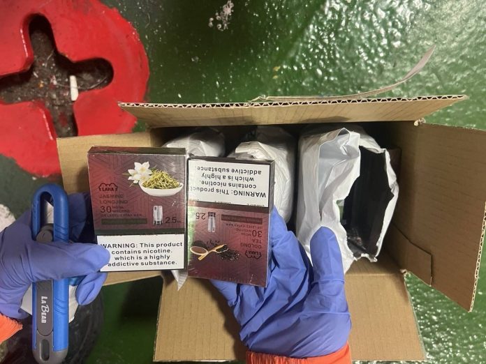 汪汪隊立大功　海巡偵搜犬「huston」嗅出郵包電子煙彈