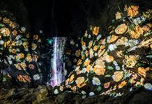 屏東高樹「奇幻大津」2/5開幕 雙金男星劉冠廷回鄉共襄盛舉 圖/屏東縣政府