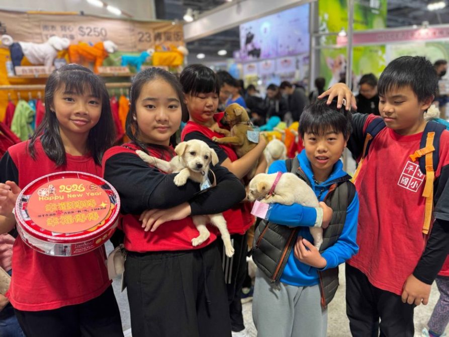 平等國小校犬傳愛花博 義賣地瓜餅乾助浪浪 圖/台北市政府提供