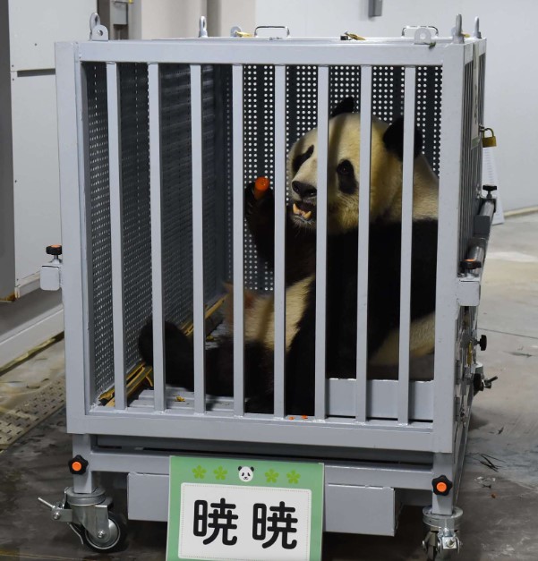 螢幕擷取畫面 2026-01-28 181729 圖/翻攝網路