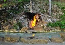 初春時節遊臺南 走訪關子嶺碧雲寺步道享受人文與生態之美 圖/台南市政府