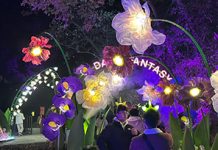 太夯了!「奇幻大津」年前及春節線上搶票一空 掀屏北觀光熱潮 圖/屏東縣政府