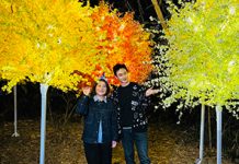 屏東奇幻大津璀璨點燈 「雙金男星」劉冠廷任活動代言人 圖/屏東縣政府