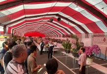 2026春季蘭花評鑑競賽 花農洪長勇獲全場總冠軍
