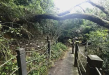 大坑多條登山步道加速修復 市府呼籲留意步道封閉狀況勿擅闖