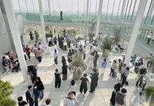 綠美圖「世界的索引」展覽夯 金音獎得主現場演出掀閱讀新浪潮