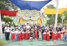 斥資6,000萬打造貓頭鷹主題遊戲場 豐原翁明公園兒童節前啟用成最暖禮物