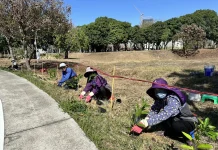 中央公園啟動原生植物培育行動! 建設局攜手科博館打造都市原生種苗庫