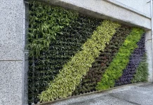 中市環保局推「廣植栽、廣植林」 輔導學校、社區、企業共同打造花園城市