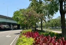 公私協力打造城市綠廊! 中市府媒合8企業投入逾3億元參與城市綠化建設