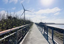 中市濱海自行車道設施修繕完工 中市觀旅局:打造安全舒適騎乘環境