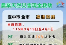 中市高接梨穗災損補助 3/19-4/1受災農民可申請現金救助