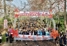 春日限定花海爆發 彰化木棉花季絕美綻放